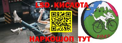 гашик Шахты