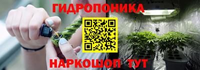 гашик Шахты
