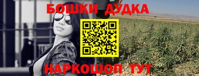гашик Шахты
