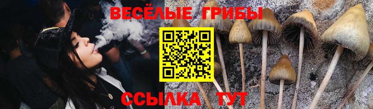 Галлюциногенные грибы Psilocybine cubensis Белебей